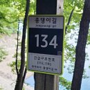 종댕이길 이미지
