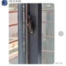 단국대 본태권도 | 봄사랑벚꽃말고