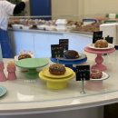 하이도나 이미지