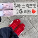 레드스타 | 가볍고 편한 포인트 운동화 추천 [푸마 스피드캣 OG 레드] 내돈내산 후기 ‼️