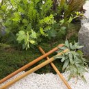 메종드상상 | 원주바디관리잘하는곳 메종드로아벨 후기, 잠 못 이루던 밤의 변화