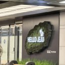 세화14길 | 11월말 3박4일 제주도 여행 후기(피즈애월, 천지연폭포,미미어스제주, 명리동식당, 가는곶세화, 비자림...