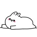 아이리스 에이치앤비