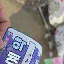 산천어길 | &lt;얼음나라 화천 산천어 축제&gt; 마지막 날 방문 솔직 후기