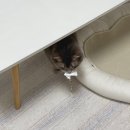 신장동로29번길 | 언제까지 크리스마스 좋아할래? 애매하긴해 🎄