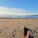 부평열린안과의원 | 굴포천역 안과 부평 열린안과 후기