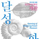 달성화석박물관 이미지