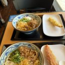 이연주유소 | [25.08 W4] 호놀룰루 4박 5일