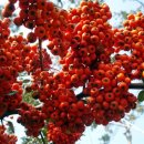 보배부동산공인중개사사무소 이미지