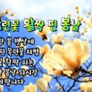 꽃피는봄날 Daum카페
