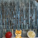 피터펫 카페 안산점 이미지