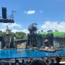 <열두줄에 놀다> 이미지