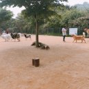 봉봉이 놀이터 이미지