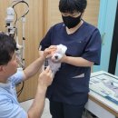 일곡동물병원 이미지