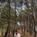 신방쉼터B 화장실 | 주문진펜션 | 아기와 함께한 푸른 자연 속 힐링 쉼터, 휘게비엔씨