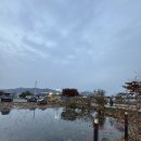 놀자네농원 | 연꽃빌리지관광농원 바베큐존·로스터리 카페 리뷰｜예약, 시설, 캠핑 감성까지(아이 반려동물)