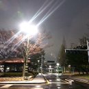 달래 어린이공원 이미지