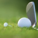 뉴코리아호텔 | 뉴코리아cc 회원권 가격과 혜택 안내 │실시간회원권매매