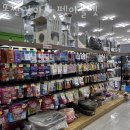 똥싼 강아지 펫아울렛 이미지