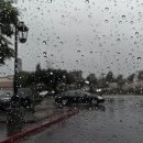 홍대 세탁 이미지