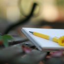 아름다운시선 이미지