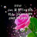 가위 바위 보 의 유래(由來) 이미지