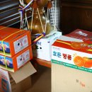 자등 2리 이미지