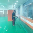 용인대 수 합기도장 이미지