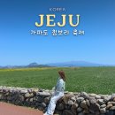 우물가빨래터 | 제주 가파도 청보리축제 기간 배시간 청보리밭 산책