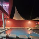 프라이빗핑크트리 이미지