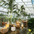 평온함을 즐기는 독특한 공간 국내 식물원 카페 4곳 이미지