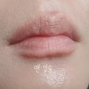 바비브라운 NEW 엑스트라 립 틴트 베어멜론 후기｜패키지리뉴얼, 발색, 향, 데일리 립밤추천