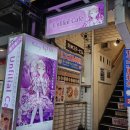 루키 | 후쿠오카 메이드카페 친불효 언필리얼 루키루키 아이돌 카페 체험 후기