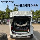 화순코사마트 | 차박캠핑일지11 제주편 2. 화순금모래해수욕장(항구뷰 차박지 굿뜨)