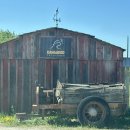 캐나다 켈로나, 캥거루 크릭 팜 방문 후기(Kangaroo creek farm )