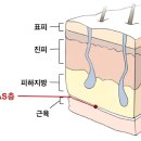 기브미의원 이미지