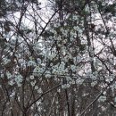 혜담한의원 | [3월 일상기록 : 슬금슬금 봄이 왔다]