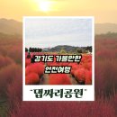 배기공원 | 연천 댑싸리 공원 11월 지금 가면 좋은 경기도 가볼만한곳