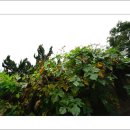 국민대학교박물관 이미지