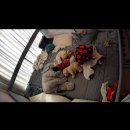 근수목장 | (D+378~384)나의 로또, 하준이의 육아일기-자기주도이유식,유아식,작은어금니