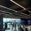 짐스톤 | 경북대 복현동 뷰 맛집 24시 운영 헬스장 [스톤짐 복현점] 오운완 후기