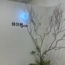 헤이븐헤어 이미지