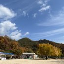 지례초등학교부항분교장 이미지