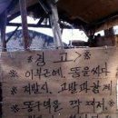 김사부 회초밥 이미지