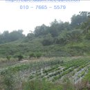 수안보중 이미지