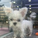 화곡부부한의원 | 우장산, 화곡 청담부부한의원 후기