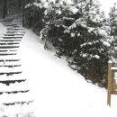 가제산 정상 이미지