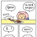 엘몽끄 이미지