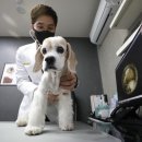 선 동물병원 이미지