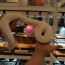 와우펫앤쥬 부산점 이미지